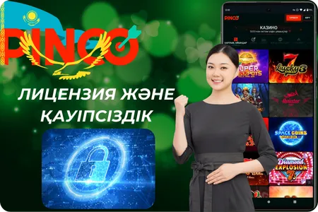 Litsenziya jäne qauipsіzdіk Pinco